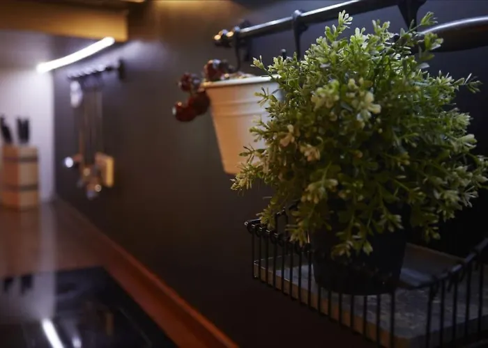 Apartment Magico Y Acogedor . La Granja De San Ildefonso. *